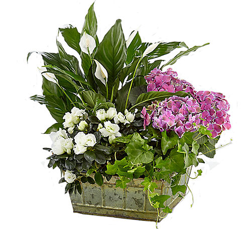 FTD® Be Inspired Blooming Basket