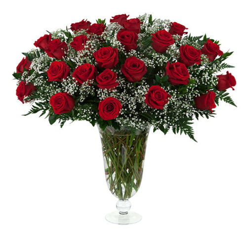 25 Red Roses
