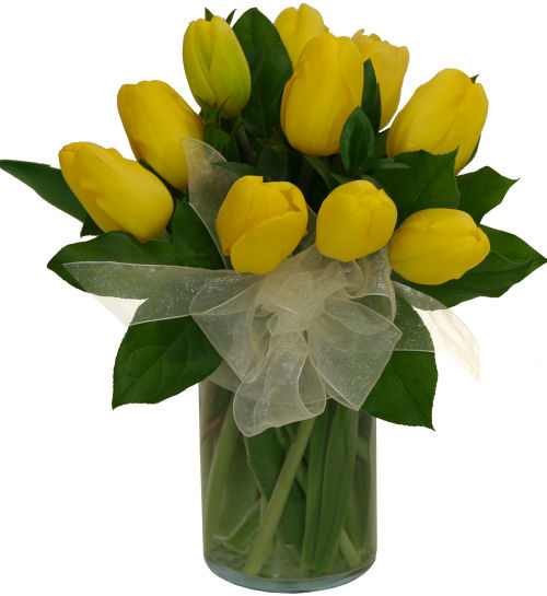 Ten Yellow Tulips In A Vase