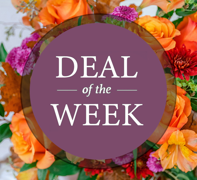 Deal Of The Day! Collection