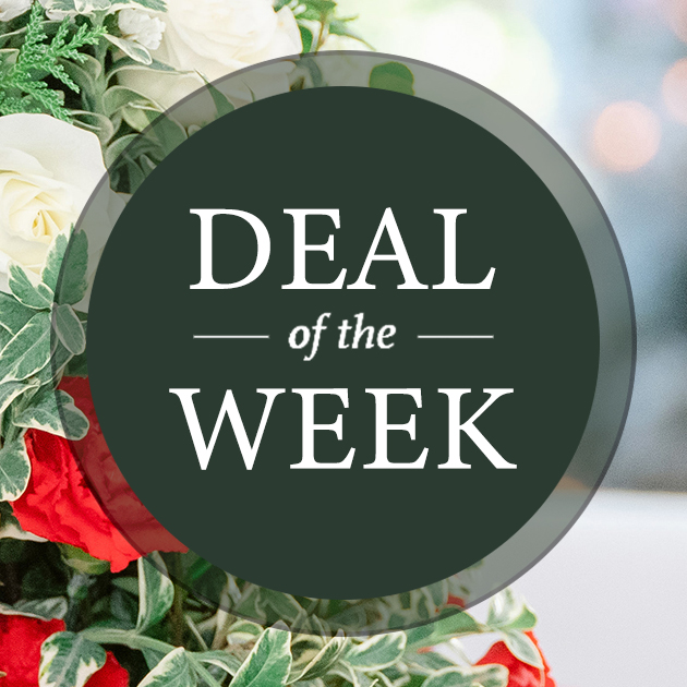 Deal Of The Day! Collection