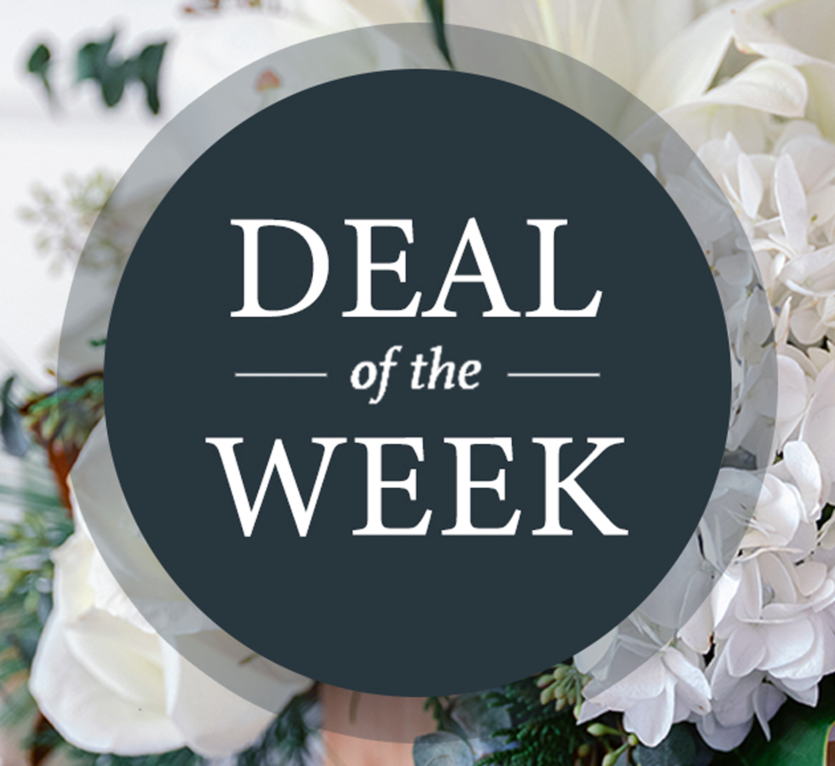 Deal Of The Week! Collection