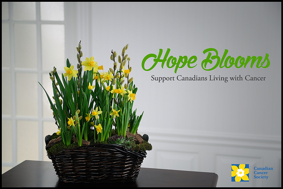 Hope Blooms