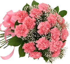 18 Pink Carnations
