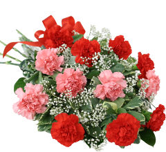 Pink & Red Carnations