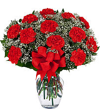 12 Red Carnations