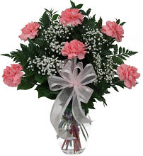 Pretty Pink Carnations