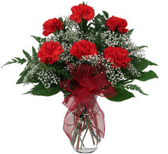 Six Red Carnations