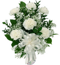 6 White Carnations