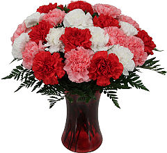 Two Dozen Carnations