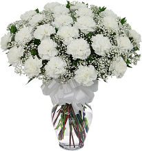 Two Dozen Carnations
