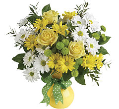 Daisies And Dots