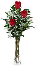 3 Red Roses