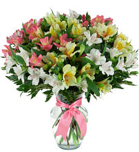 Alstroemerias in a Vase