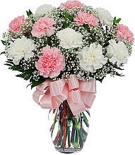Pink & White Carnations