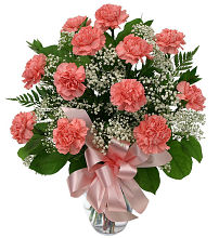 12 Pink Carnations