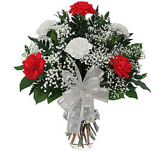 Red & White Carnations