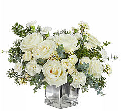 Arctic Blooms