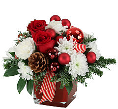 Christmas Celebration
