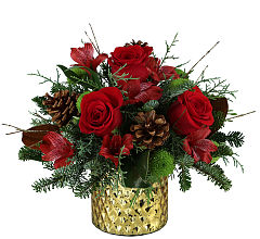 Santa’s Little Helper