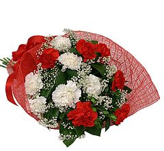Candy Cane Carnations