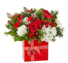Presents Under The Tree