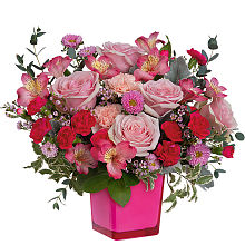 Rosy Moment
