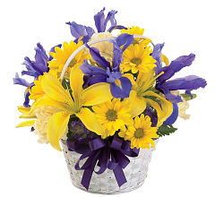 Spirit of Spring