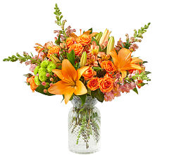 Fresh & Rustic