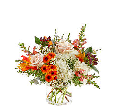 Autumnal Equinox