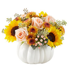 Pumpkin To Talk About