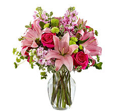 Pink Posh