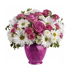 Daisy Delight