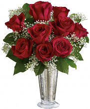 Kiss of the Rose