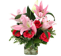 Tickle Me Pink