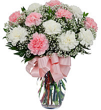 Pink & White Carnations