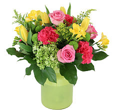 Brighter Than Bright