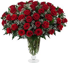 Three Dozen Red Roses
