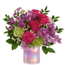 Lovely Lilac