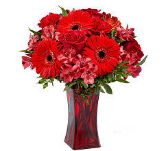 Red Reveal
