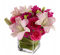 Posh Pinks