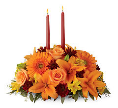 Bright Autumn