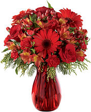 Spirit of the Season