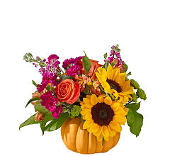 Bippity Boppity Pumpkin