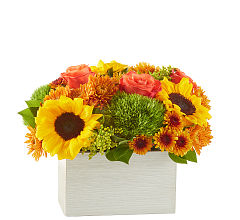 Farmer's Market Stroll