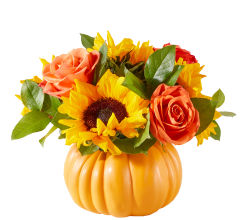 Pumpkin Dream