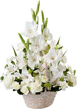 Eternal Affection™