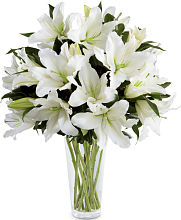 Light In Your Honour