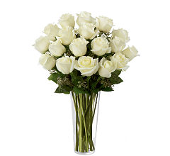 White Roses