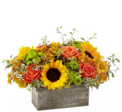 Garden Gathered